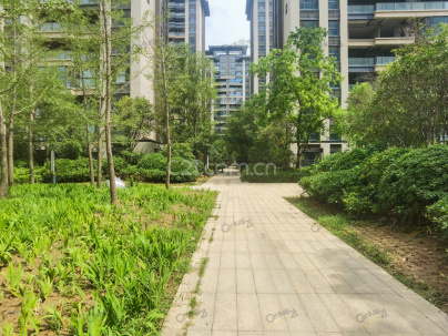 名门峰景园 4室 2厅 143.8平米
