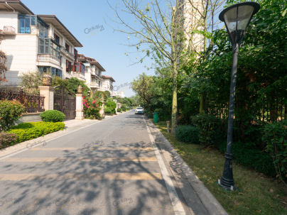 顺德碧桂园西苑钻石郡别墅区 5室 2厅 460平米