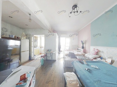 琴海公寓 1室 1厅 47.75平米