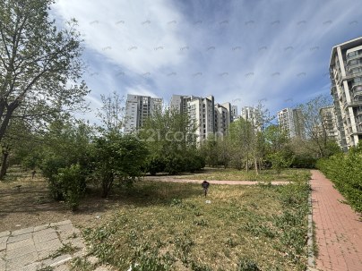 红城（柏丽花园） 3室 2厅 136.02平米
