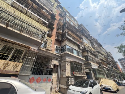 金狮家园